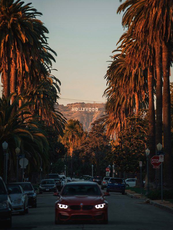 A street lined with palm trees at sunset with a distant view of a city skyline.