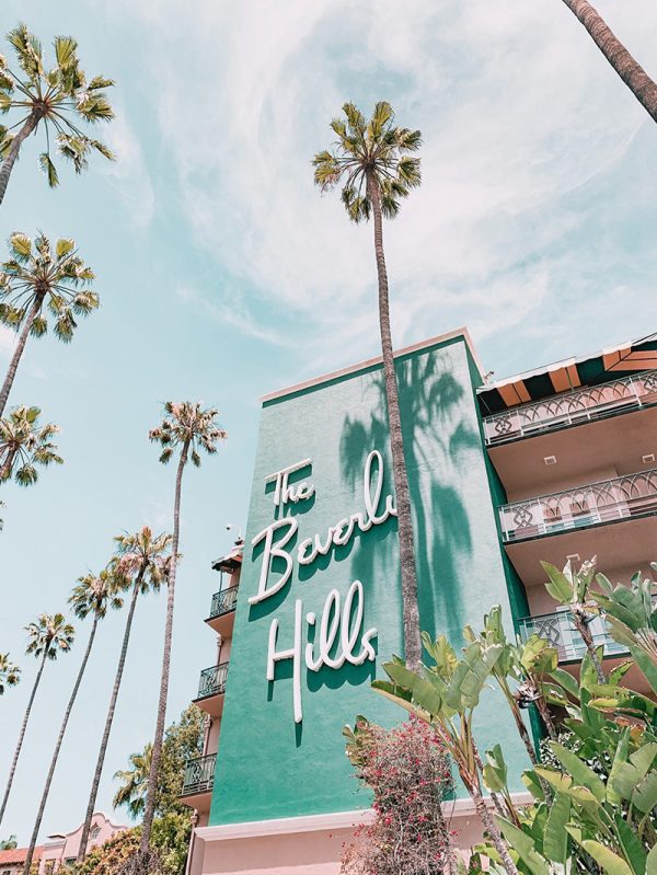 A vibrant mural with palm trees and blue sky.